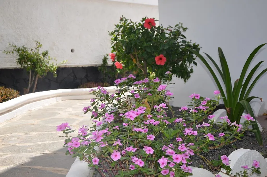 Appartamento Alsol Las Orquideas Playa del Inglés Spagna